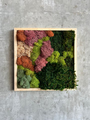 GDPS03 - Moss Wall - 12x12