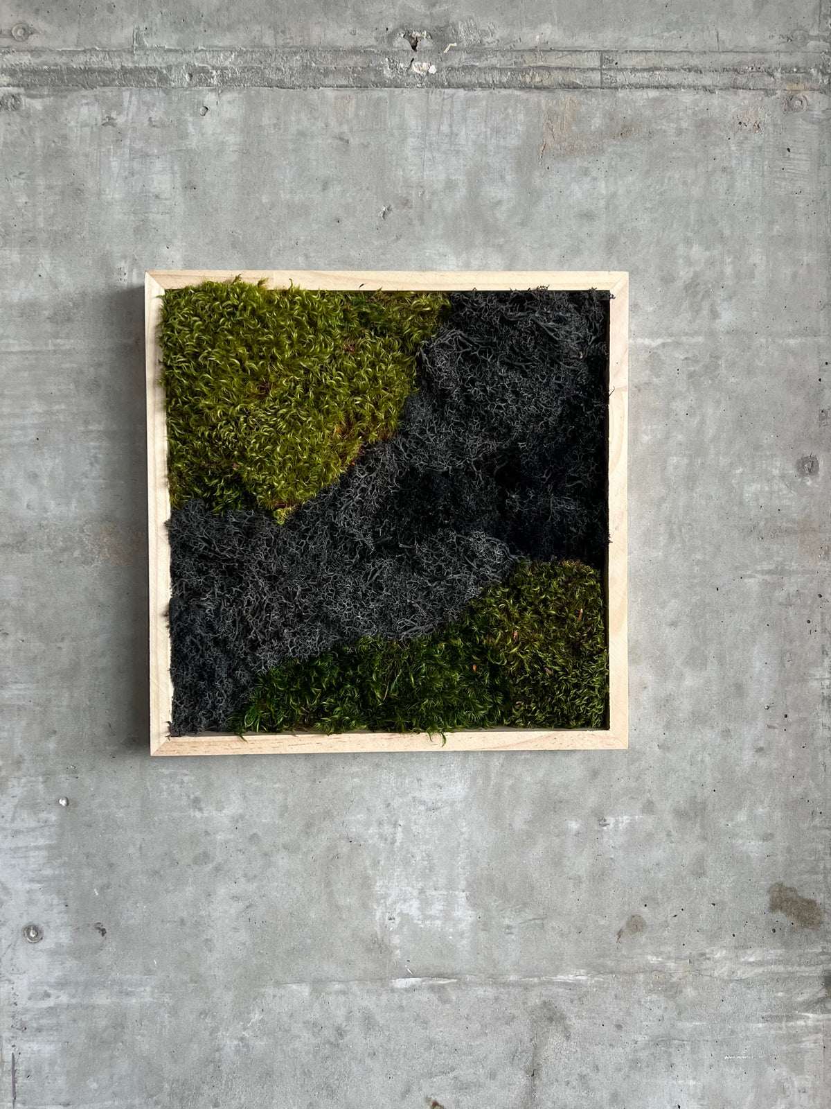 Moss Wall - GDPS01